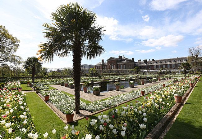 kensington palace garden