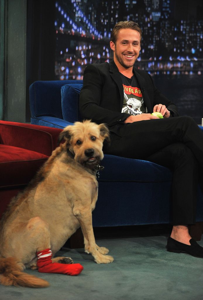 Ryan Gosling along with his dog George