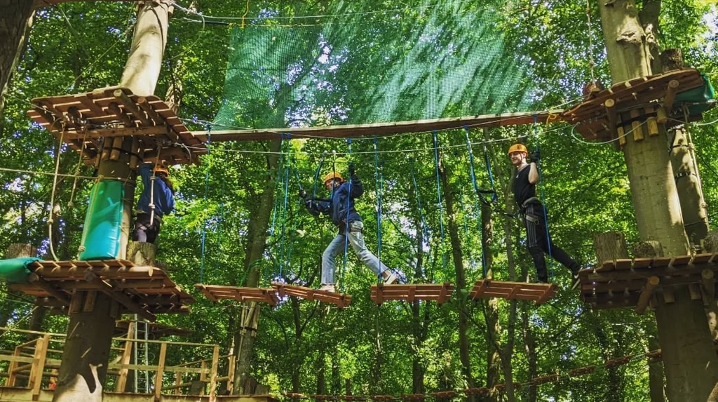 tree top climbing frame 