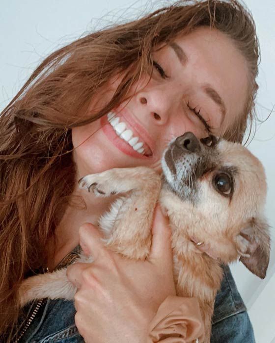 stacey solomon chihuahua