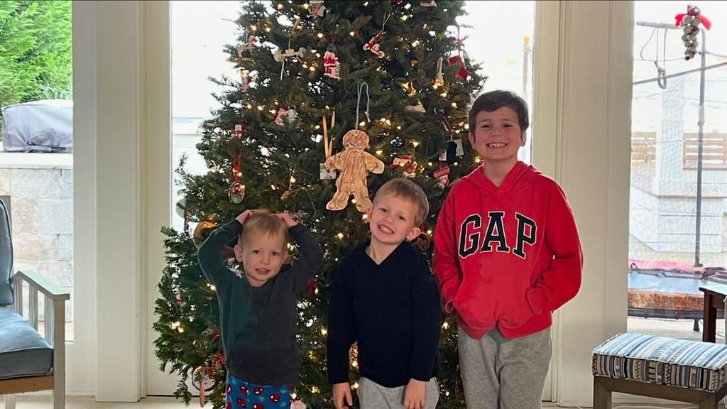 Dylan Dreyer's three young sons posing inside the family home after decorating the Christmas tree 