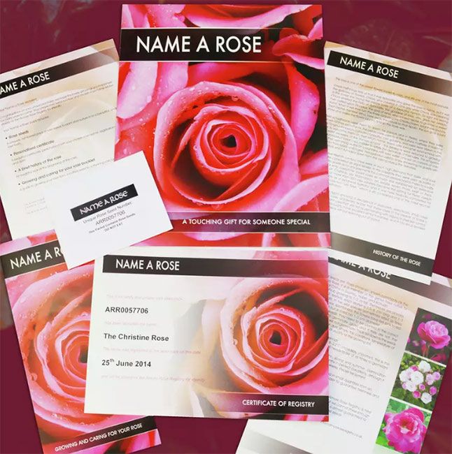 name a rose gift from argos
