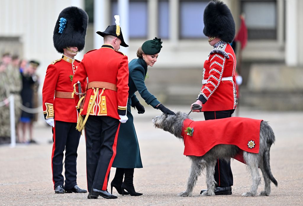 Kate greets Turlough Mar, the Irish Wolf Hound regimental mascot