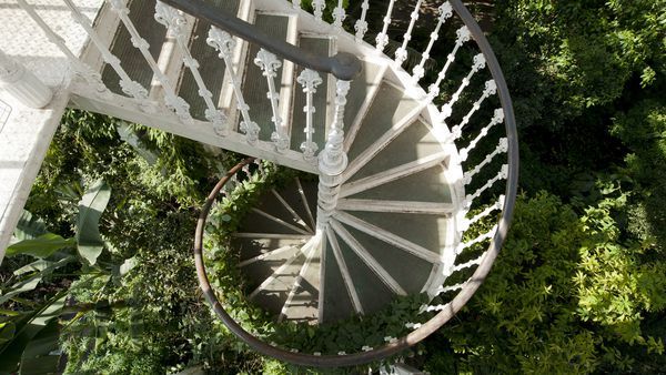 Temperate House spiral staircase