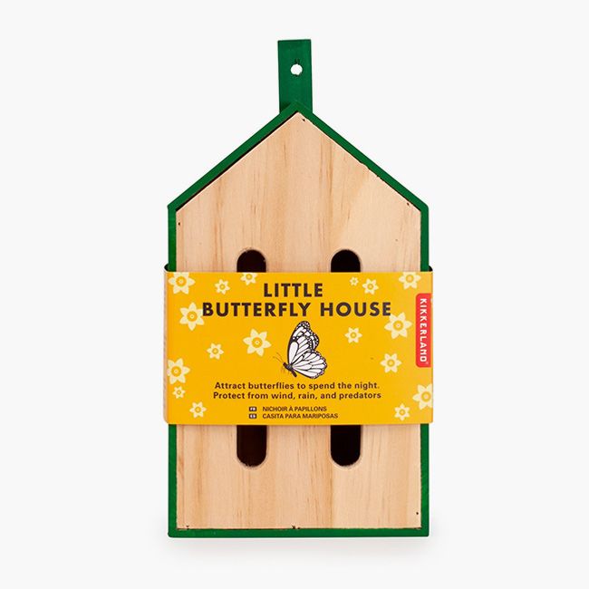 Best butterfly houses for your garden 2021 plus where to hang a