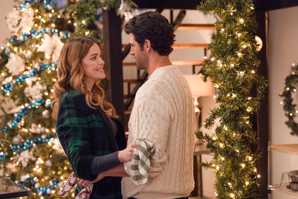 A Christmas Cookbook