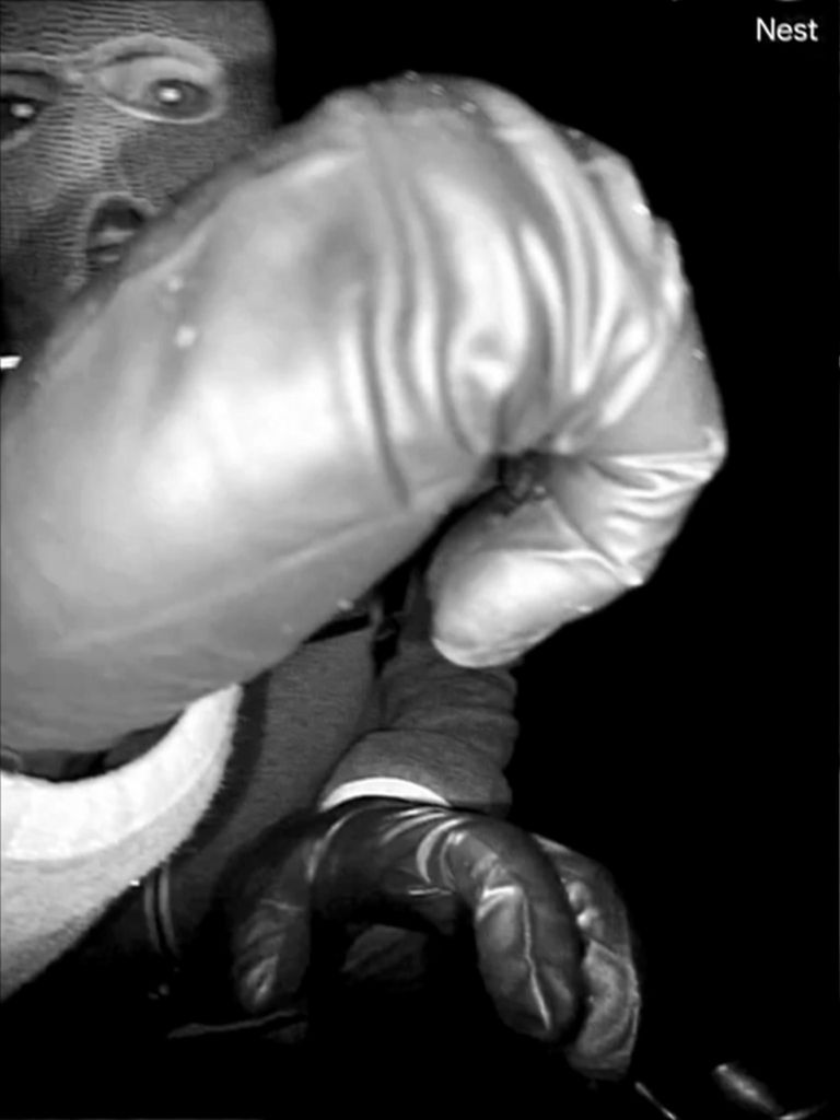 Suspect dans la disparition de Nancy Guthrie