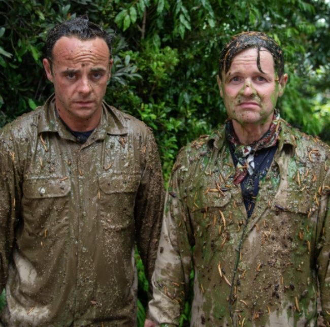ant and dec 6