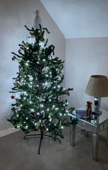 gregg wallace christmas tree 8