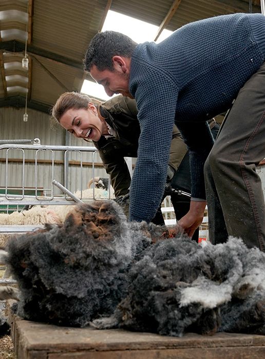 kate middleton sheep shearing
