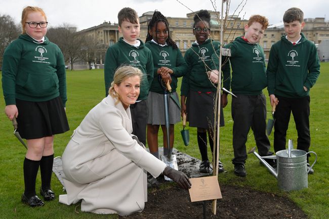 sophie wessex planting trees at buckingham palace