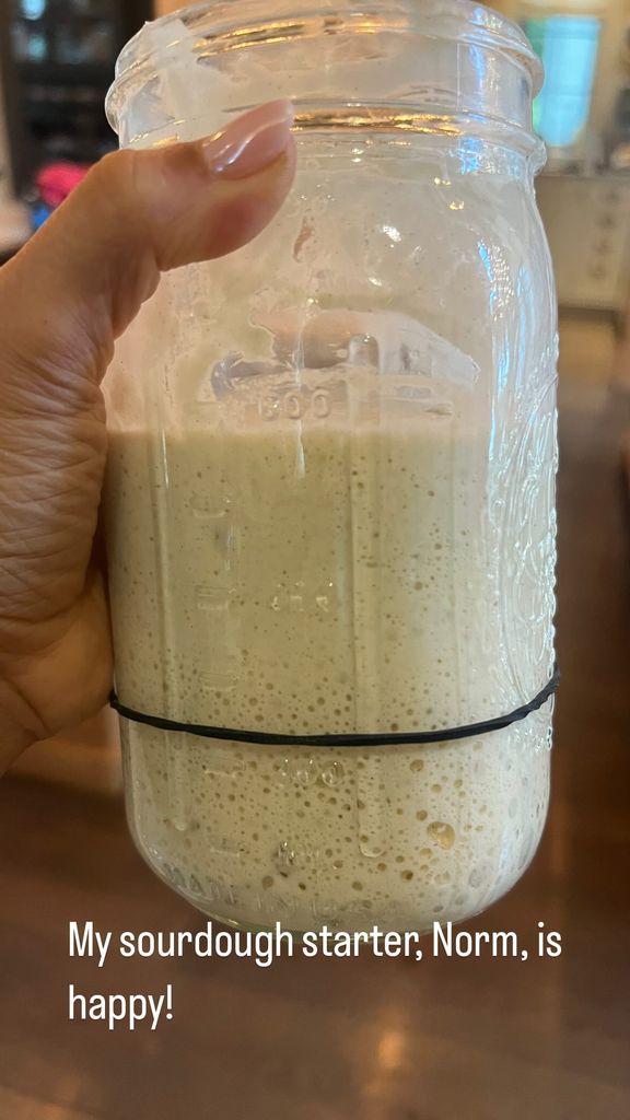 Carrie Underwood shares a photograph of her sourdough starter on her Instagram Stories