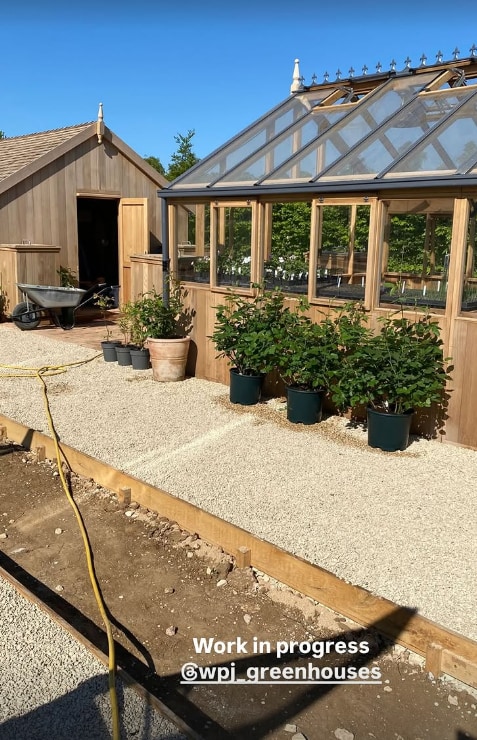 Photo showing greenhouse in garden with plants in foreground and blue sky in the background