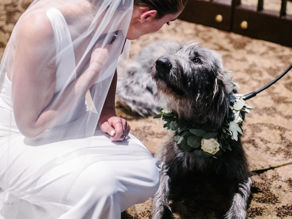 kylie kelce wedding day with dog winnie