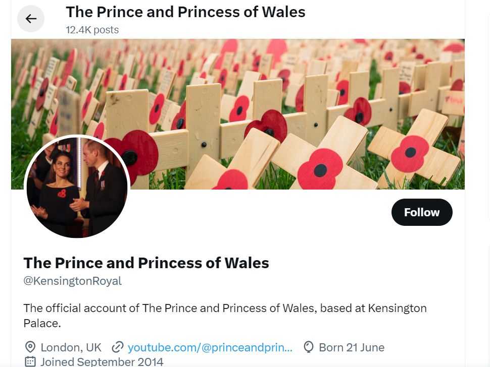 William and Kate's new display image