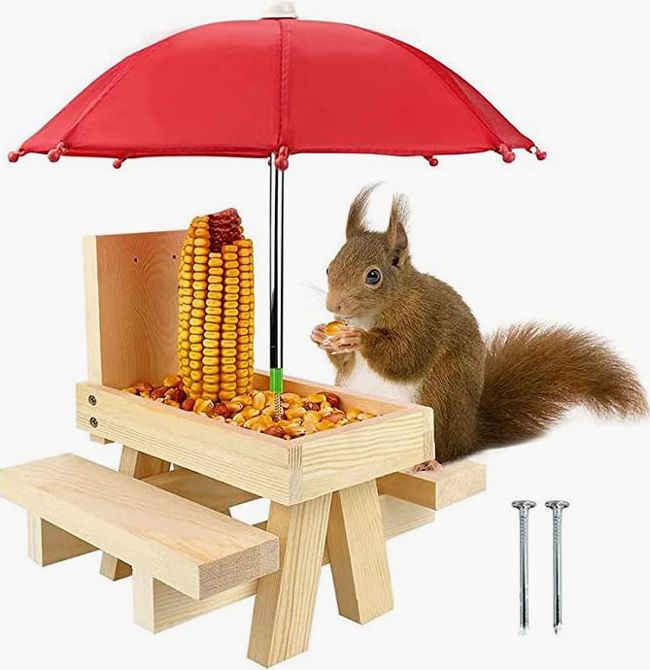 squirrel table