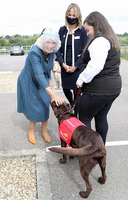 camilla medical detection dogs