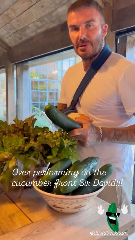 David Beckham was showing off his cucumbers