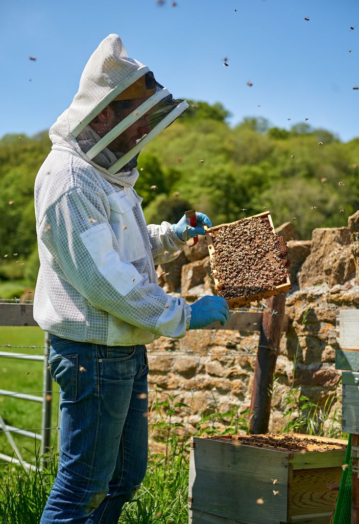 Person beekeeping 