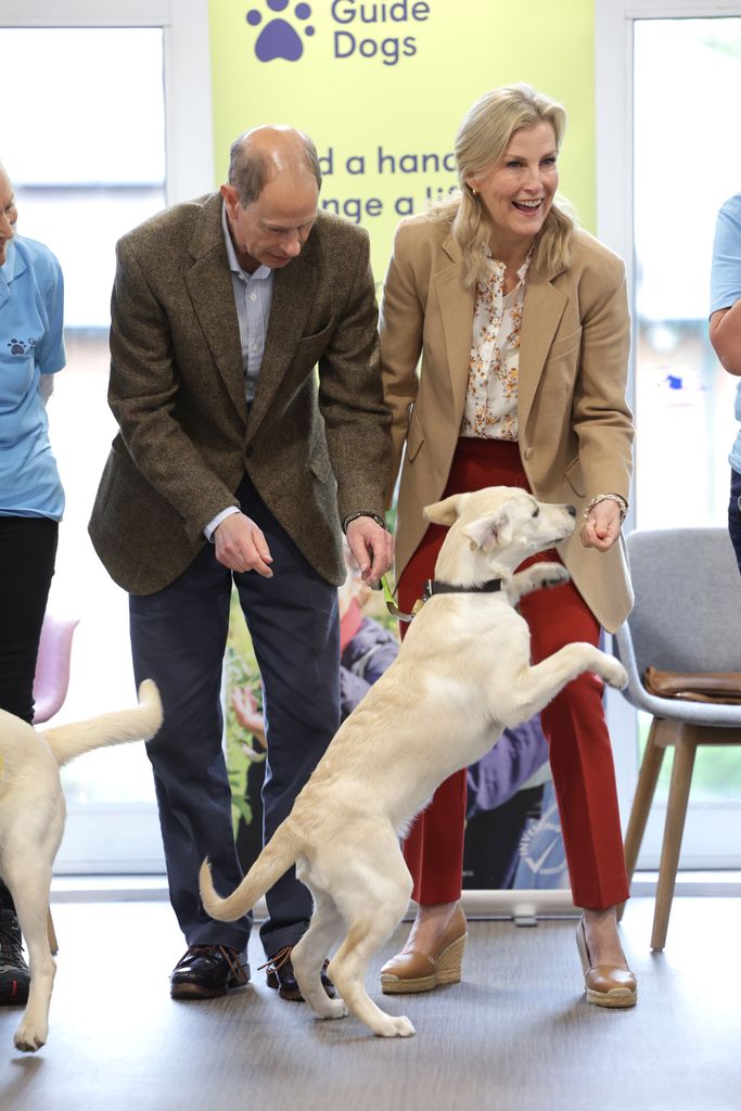 The couple spent the afternoon training and playing with cute puppies and dogs at the charity’s centre in Reading, Berkshire. 