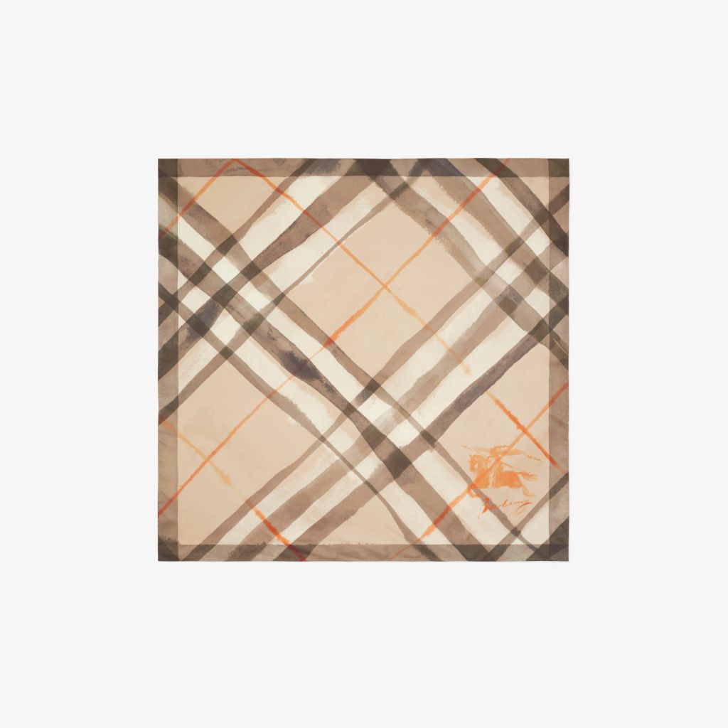 Burberry scarf
