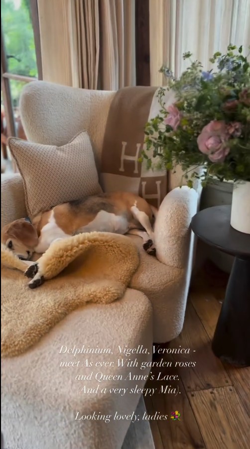 Meghan Markle's dog Mia sleep on a chaise lounge in their Montecito home