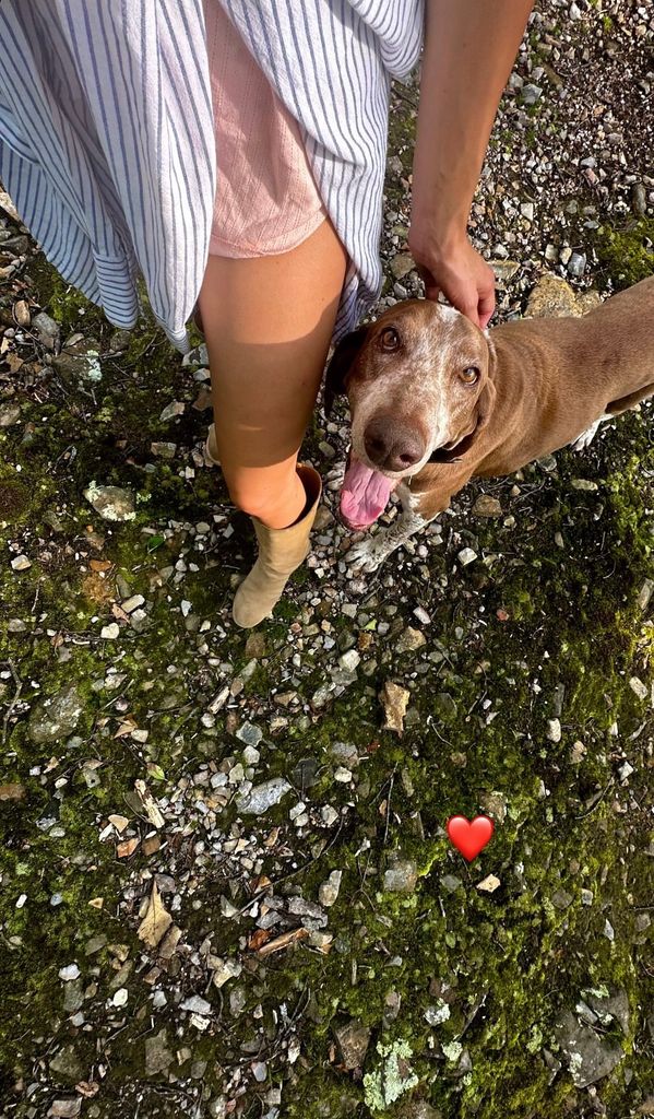 Photo shared by Audrey McGraw on Instagram November 2024 paying tribute to her family dog Stromboli, who passed away