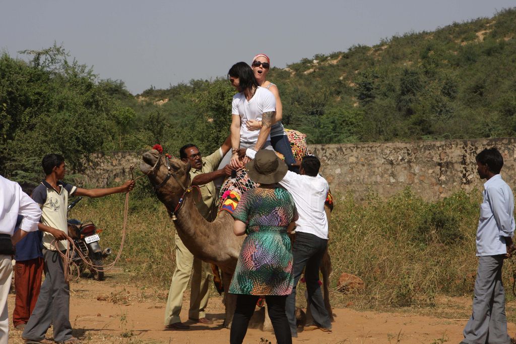 Katy and Russell's guests going for camel ride from Aman-E-Khas wildlife preserve, where Katy Perry will tie the knot with Russell Brand on October 22, 2010 in Ranthambore, India