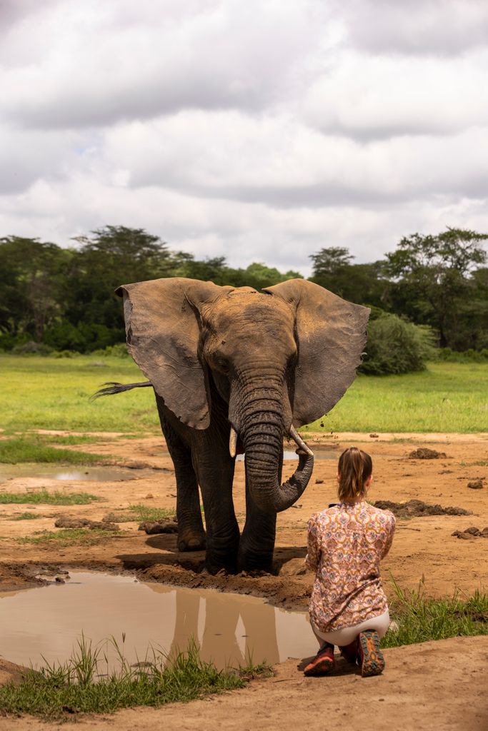 woman taking photo of an elephant