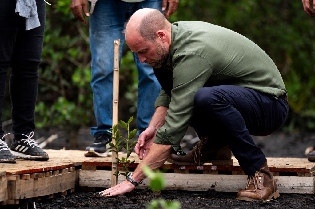 Prince William planting a mangrove sapling