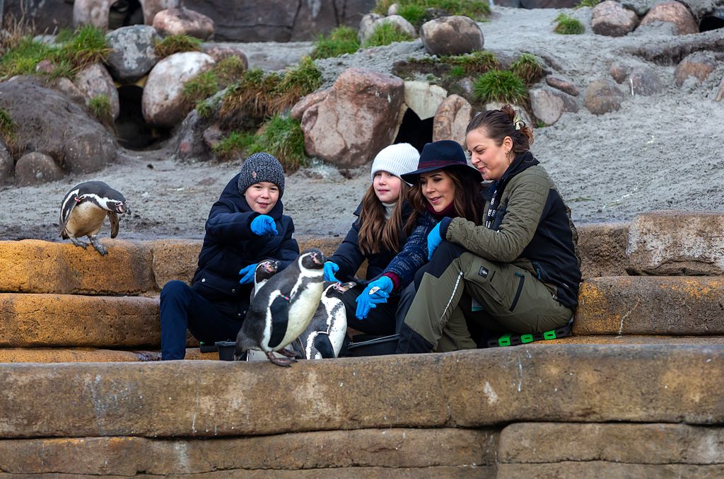 Crown Princess Mary of Denmark, Prince Vincent and Princess Josephine feed penguins 