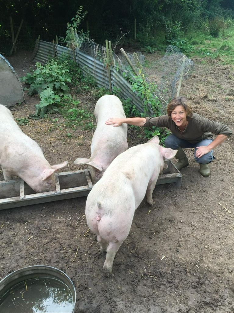 Rebecca Pow MP posing outside on farm with pigs