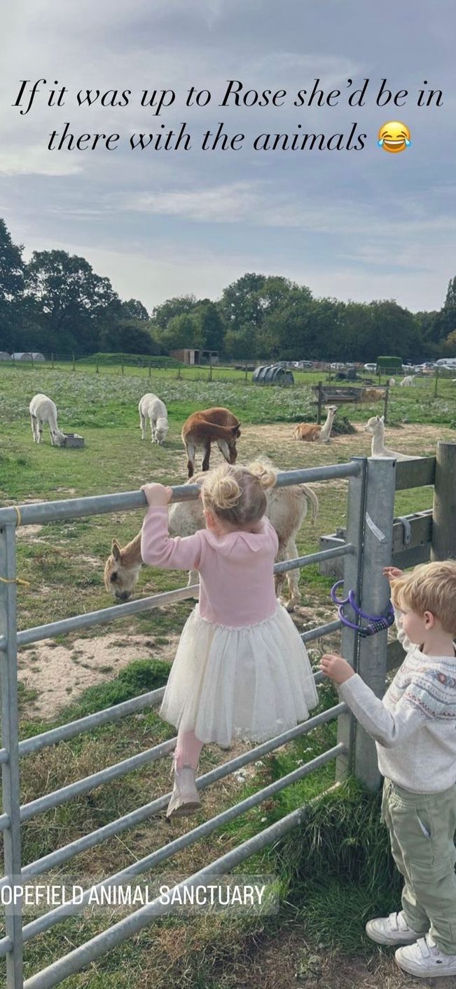 Stacey Solomon's children look at animals at a farm over a gate