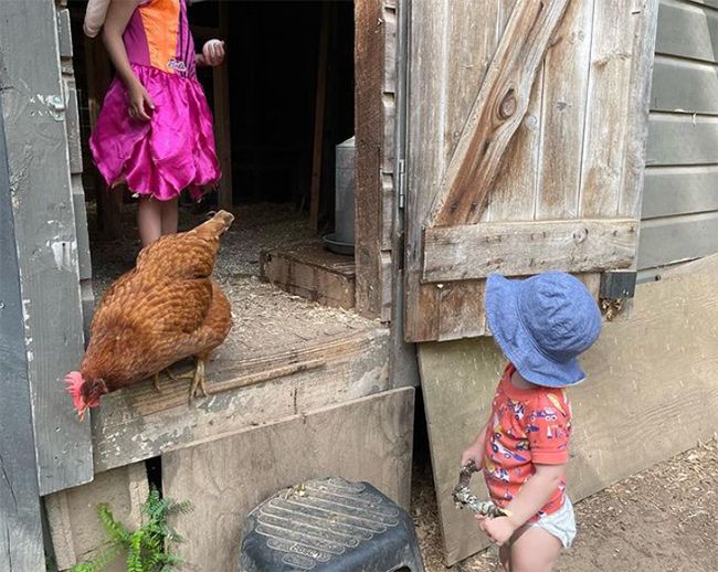 amanda seyfried children chicken house