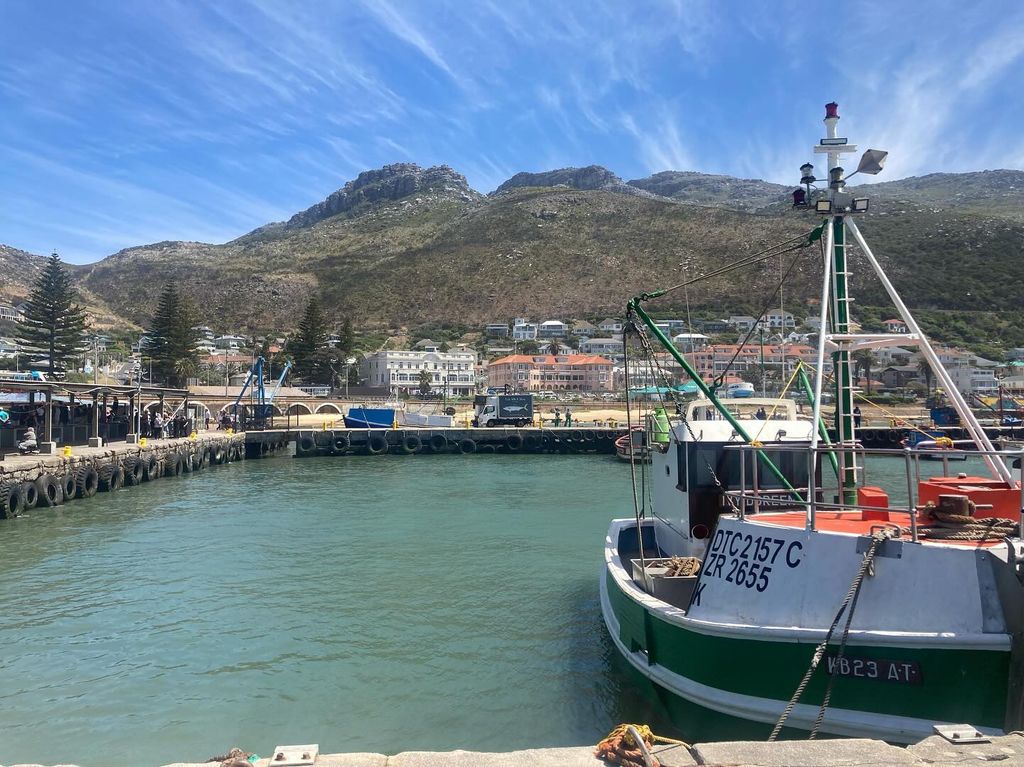 Kalk Bay Harbour has plenty of shops, restaurants and marine life to explore