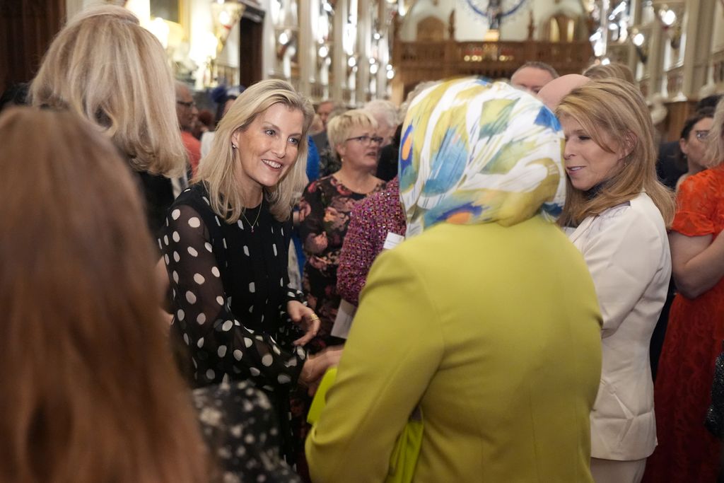   Sophie, duchesse d'Édimbourg s'adresse aux invités lors d'une réception pour souligner le travail inspirant des soignants rémunérés et non rémunérés lors d'une réception pour souligner le travail inspirant des soignants rémunérés et non rémunérés au château de Windsor