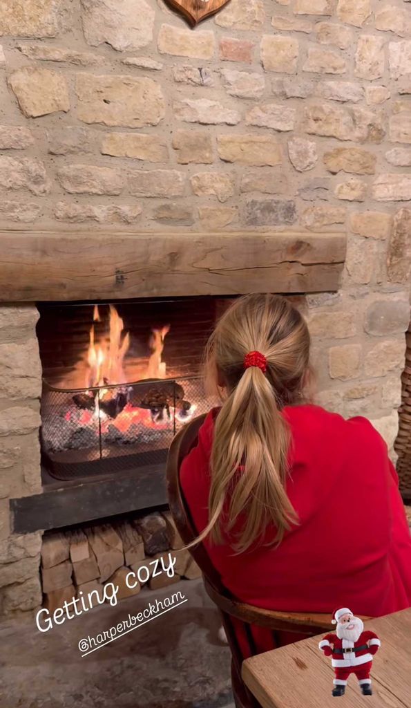 Harper Beckham seen roasting chestnuts