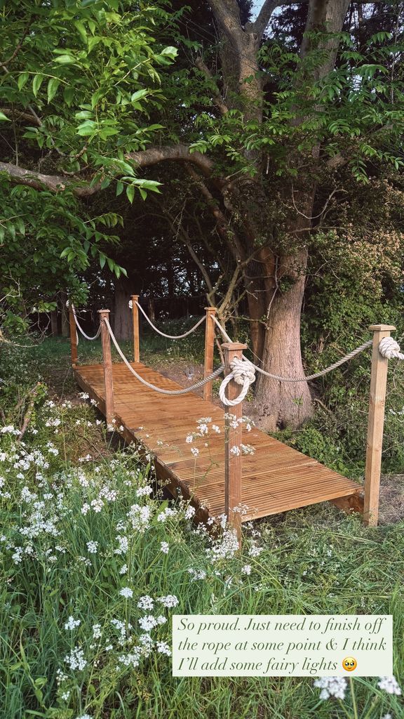 bridge with ropes 