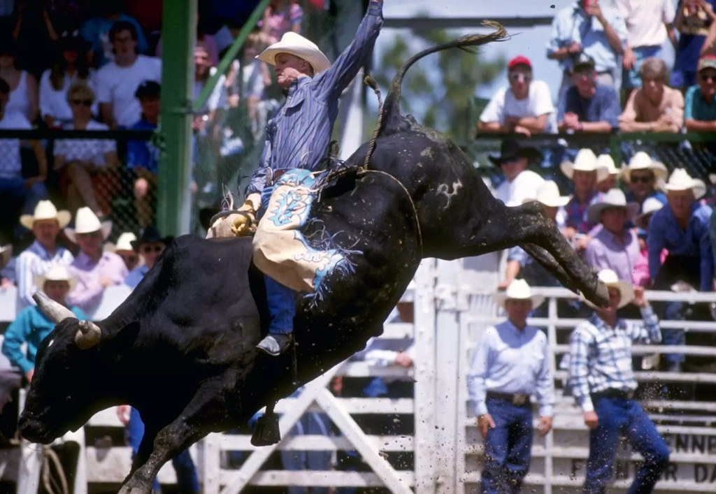Ty Murray rides a bull during the Cheyenne Frontier Day Rodeo in Cheyenne, Wyoming.