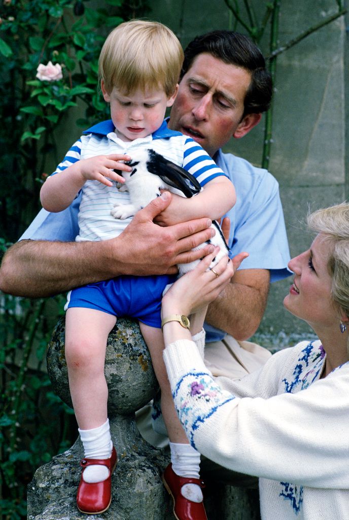charles, diana and young harry with rabbit