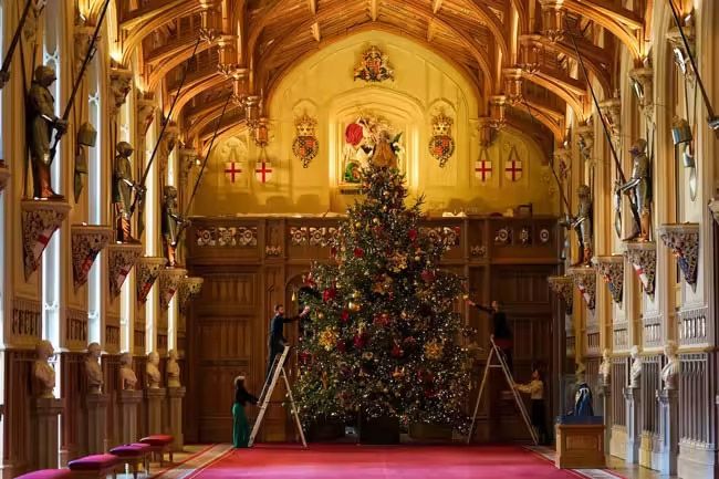 christmas tree being decorated in windsor castle 