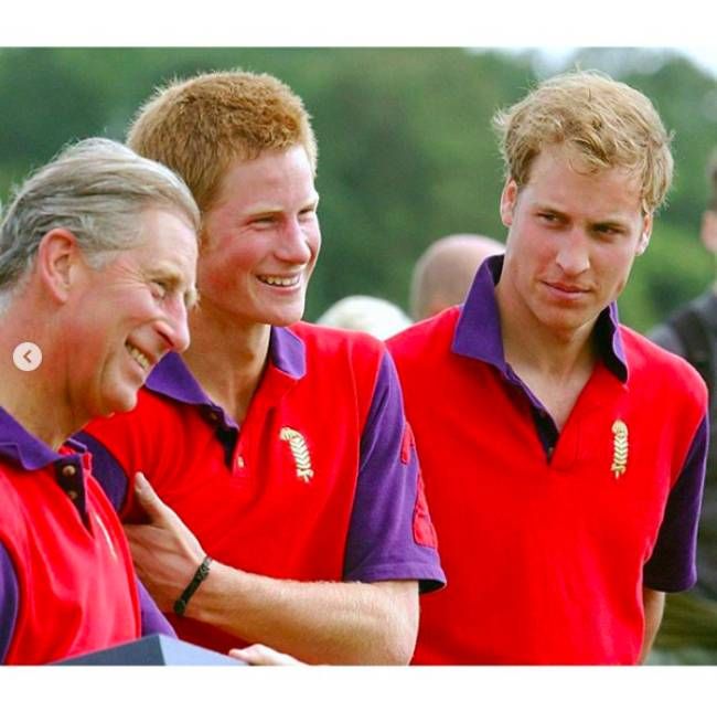 prince charles fathers day william harry