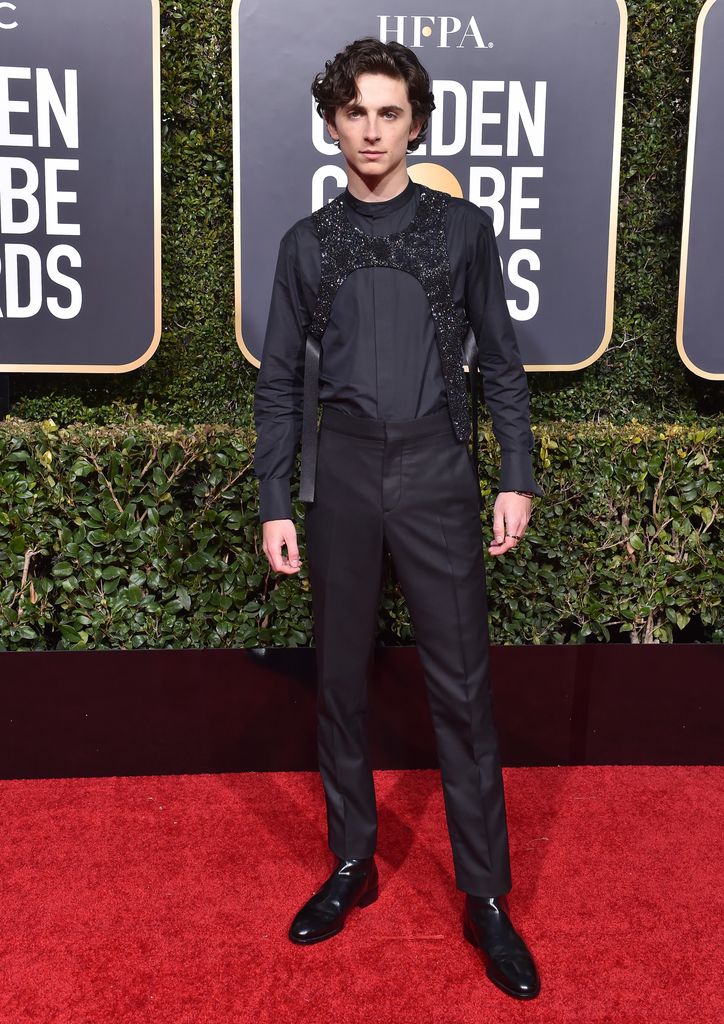 Timothee Chalamet on red carpet in black