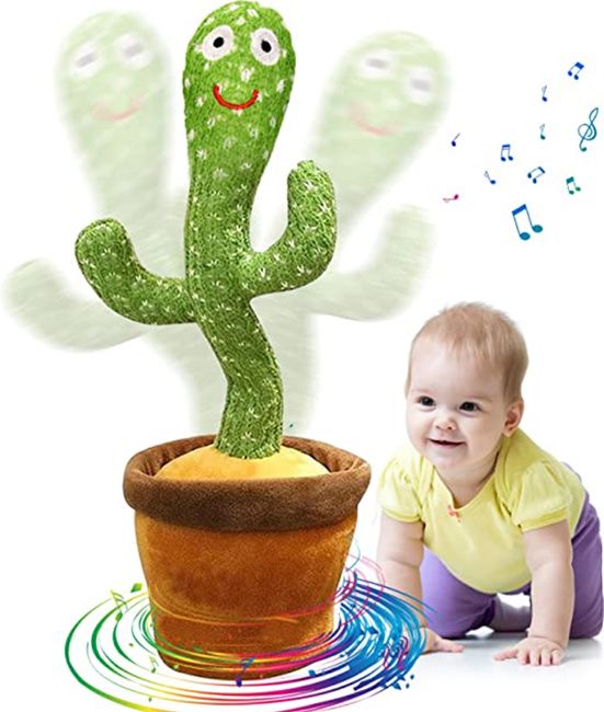 cactus toy