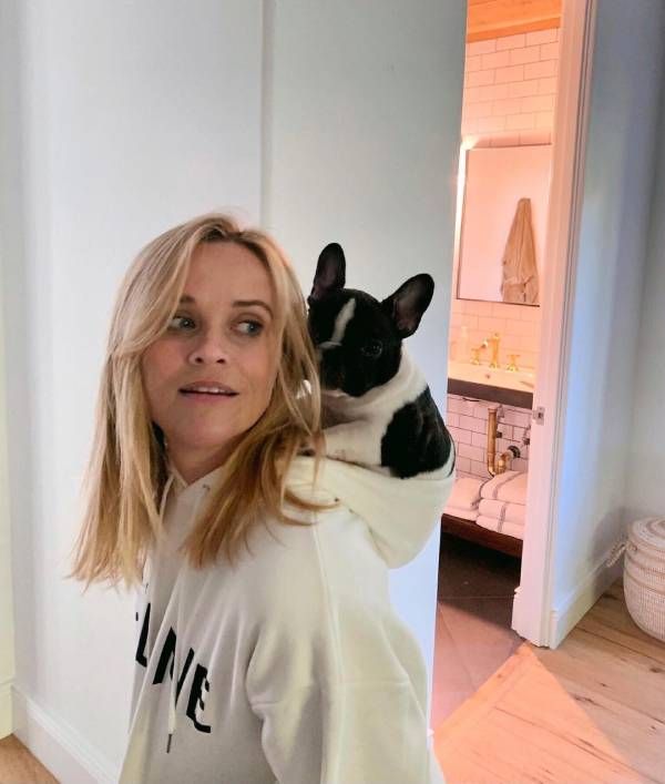 reese witherspoon dog