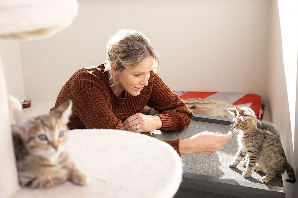 Princess Charlene of Monaco pets a small kitten