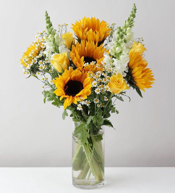 zing flowers sunflowers