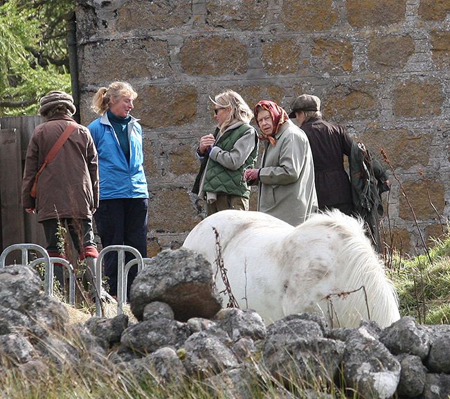 the queen feeds her horses in balmoral