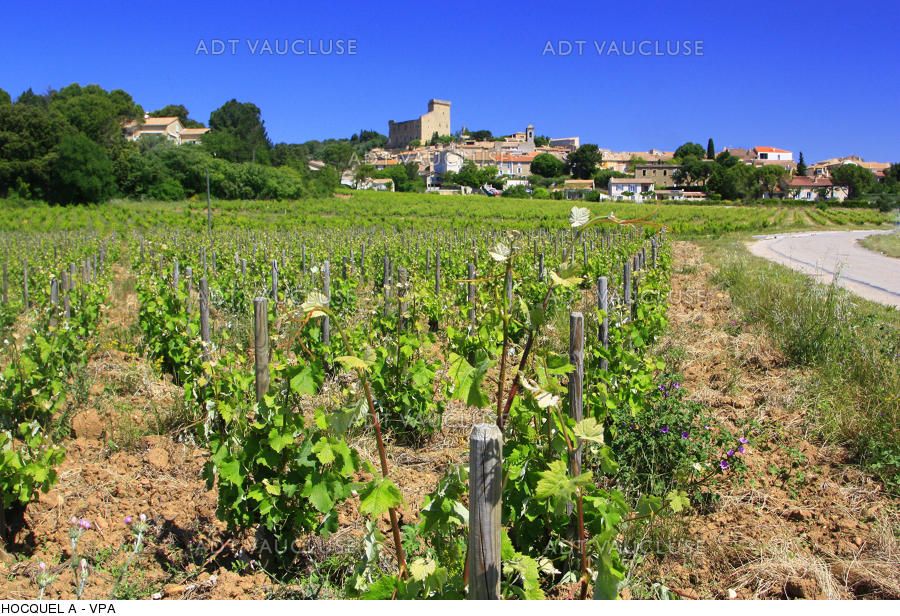 The Provence is home to many beautiful vineyards 