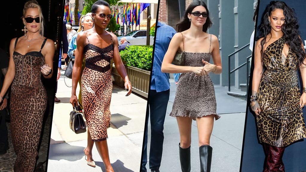 celebrities wearing leopard print dresses 